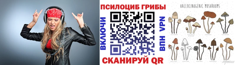 Галлюциногенные грибы Psilocybe  Талица 
